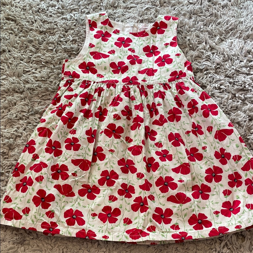 Vintage 2003 Gymboree “Poppies” Poppy Dress, Size 5